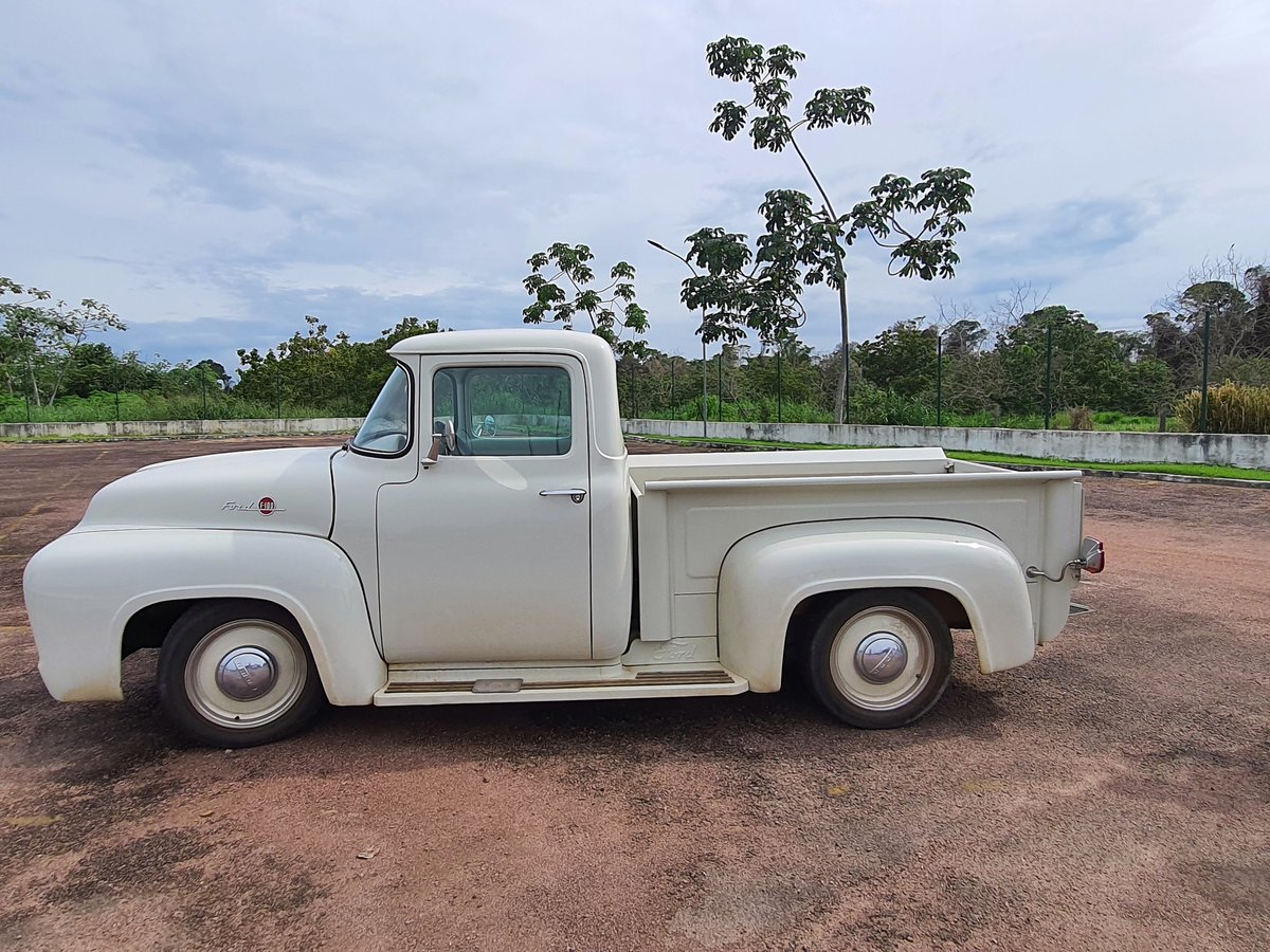 1956 Ford F100 pickup truck vintage